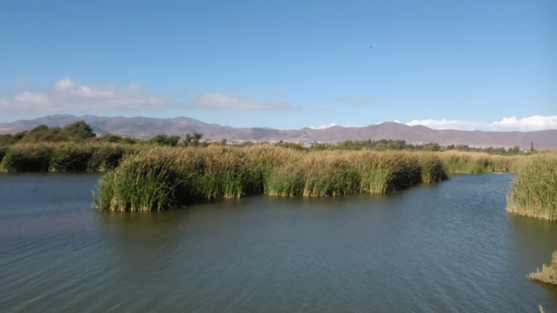 captura de pantalla 2024 07 01 113717