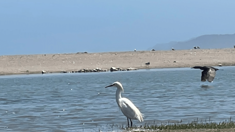 captura de pantalla 2024 07 01 113851