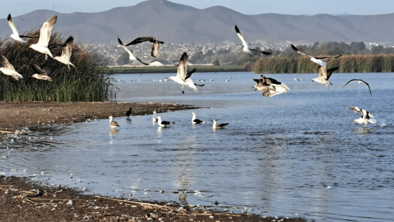 captura de pantalla 2024 07 01 114012