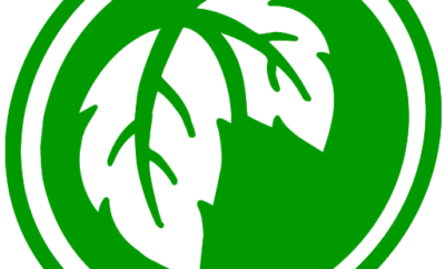 Francisco Rojas Aguayo