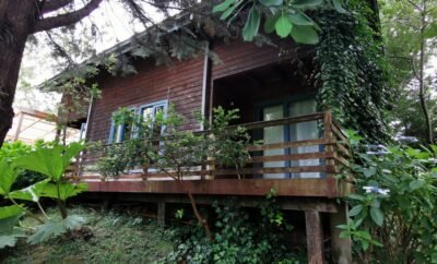 Cabaña Pudomo Coñaripe